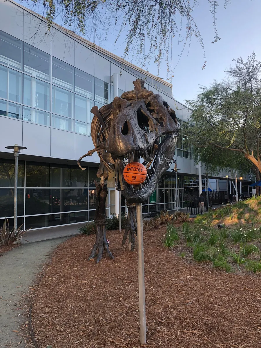 A Basket Bullet medicine ball by the dinosaur on the Google campus